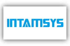 intamsys